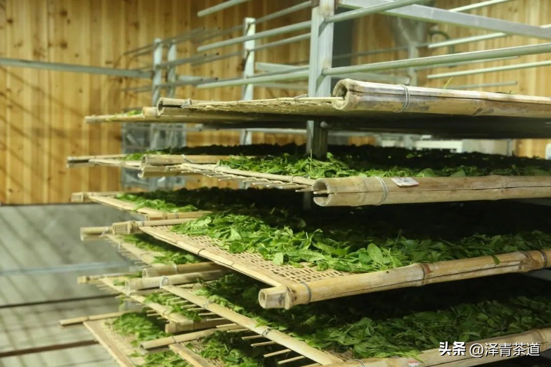 中国10大名茶品牌排名图片,2022年最具品牌价值的10大茶品牌