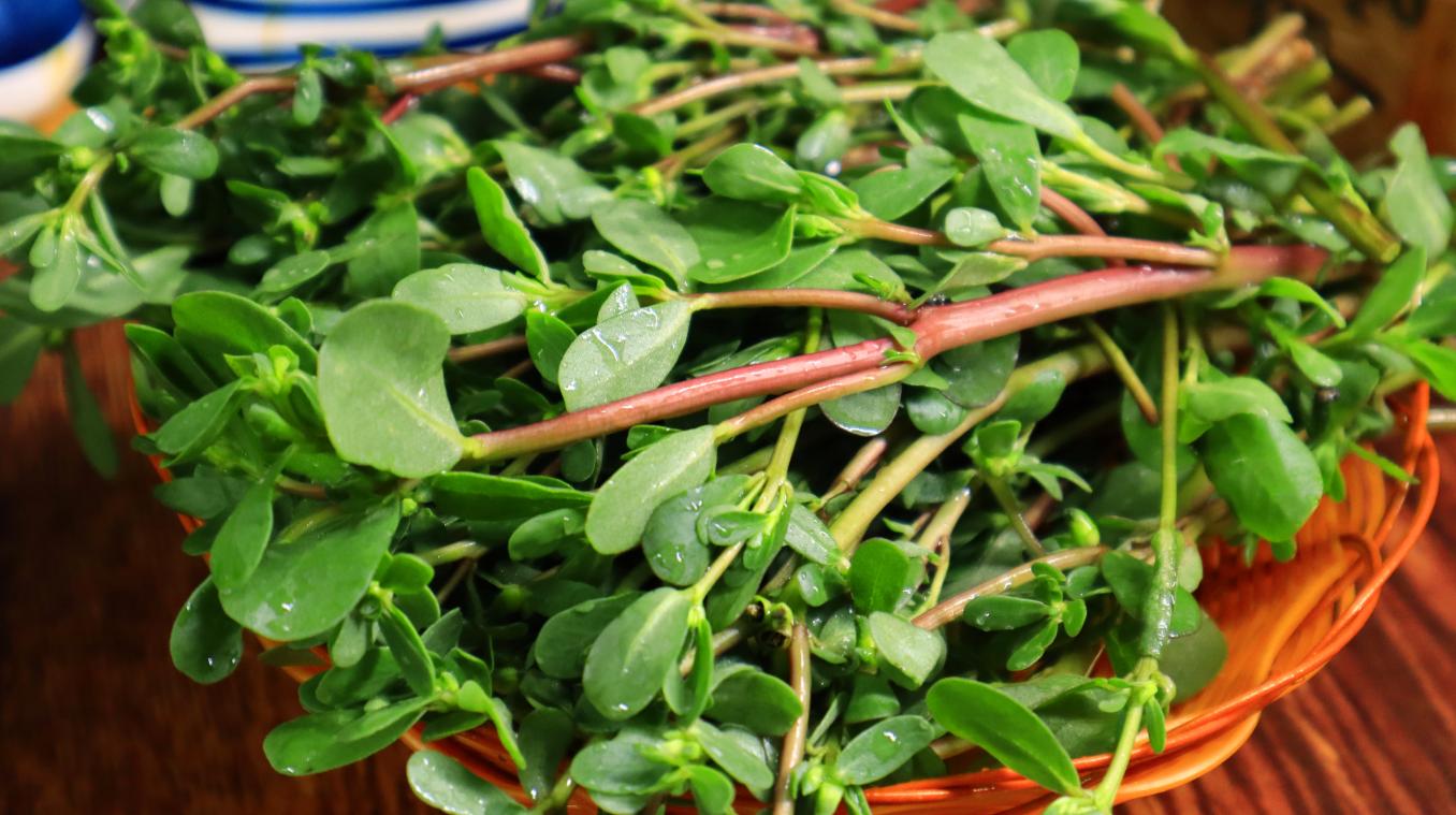 端午节前后有什么新鲜菜,端午过后吃什么菜最好