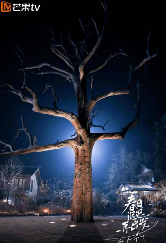 梓山漫居为何频上妻子的浪漫旅行，春日迟迟再出发等综艺—AD国际