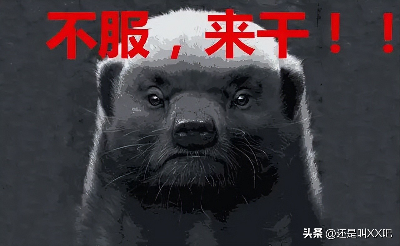 勘察设计单位的违规挂靠现象,举报建筑公司挂靠的后果