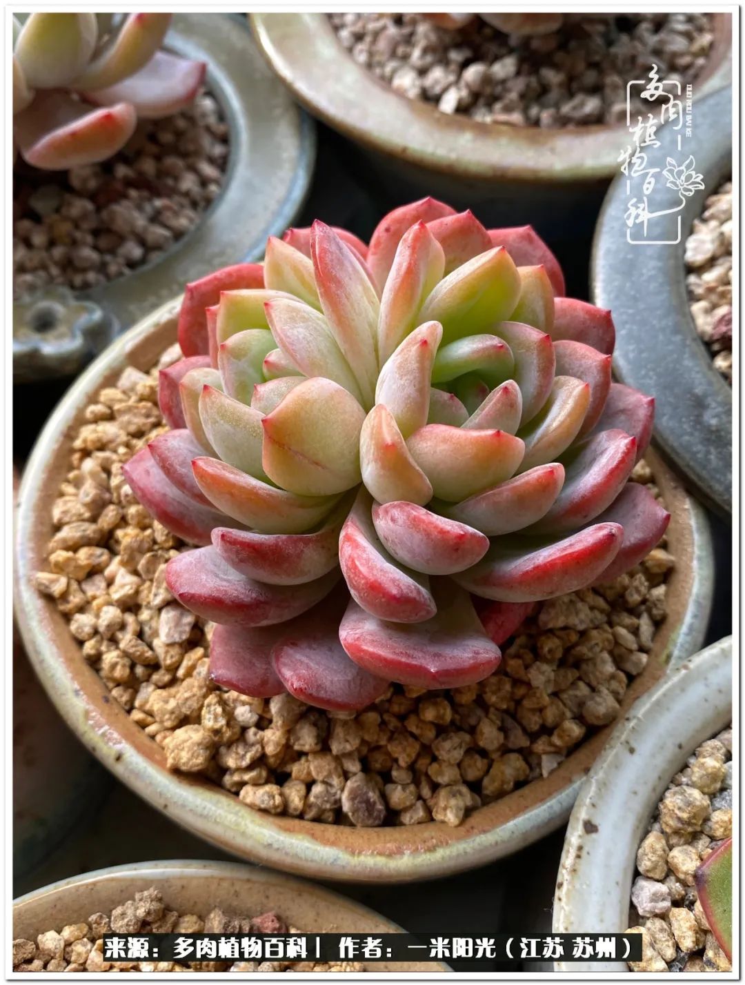 幸福就是珍惜当下所拥有的,珍惜当下所拥有的才是幸福的