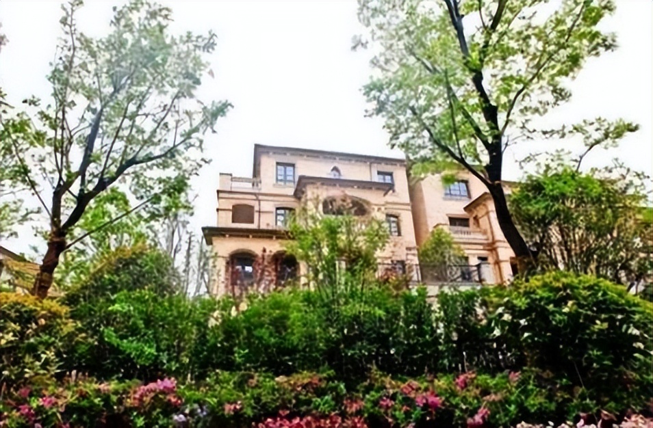 唐嫣亿万富豪,唐嫣天价手机壳图片