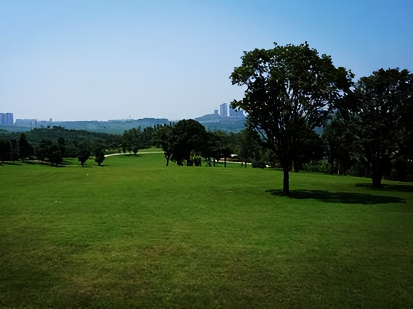 国家中心城市和都市圈哪个好,国家中心城市和天津