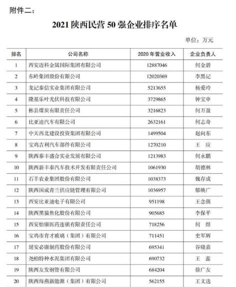陕西延安必康制药股份有限公司,延安必康2019年业绩