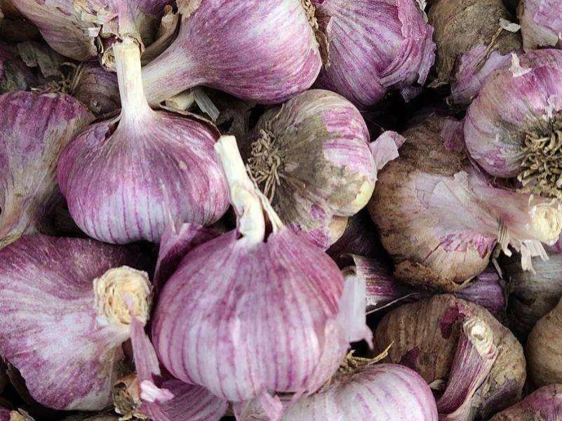 中国国家地理标志怎么申请,中国国家地理标志标识