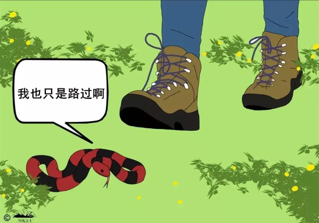 蛇会怕什么？这种东西只要沾上一点，蛇就会毙命，不敢钻进家里来