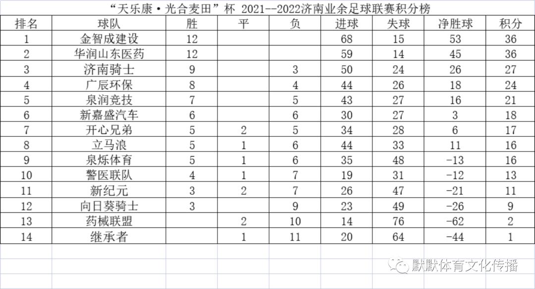 济南天乐康足球比赛,天乐康光合麦田杯