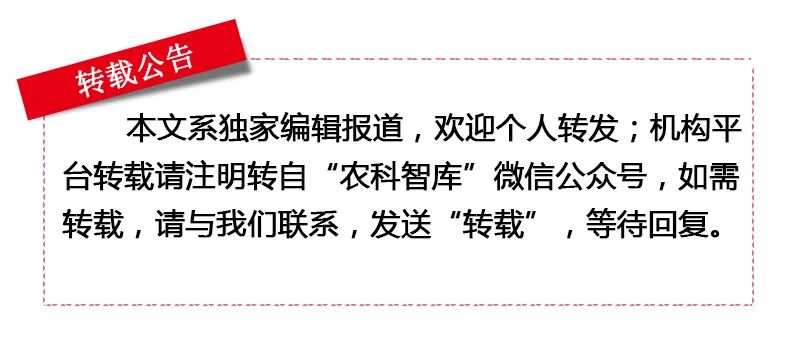 【农科智库原创报告】全球种业重点企业扫描——日本坂田集团
