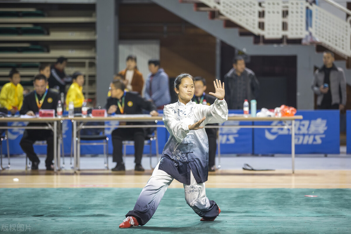 中国武术门派十大排名,中国武术流派