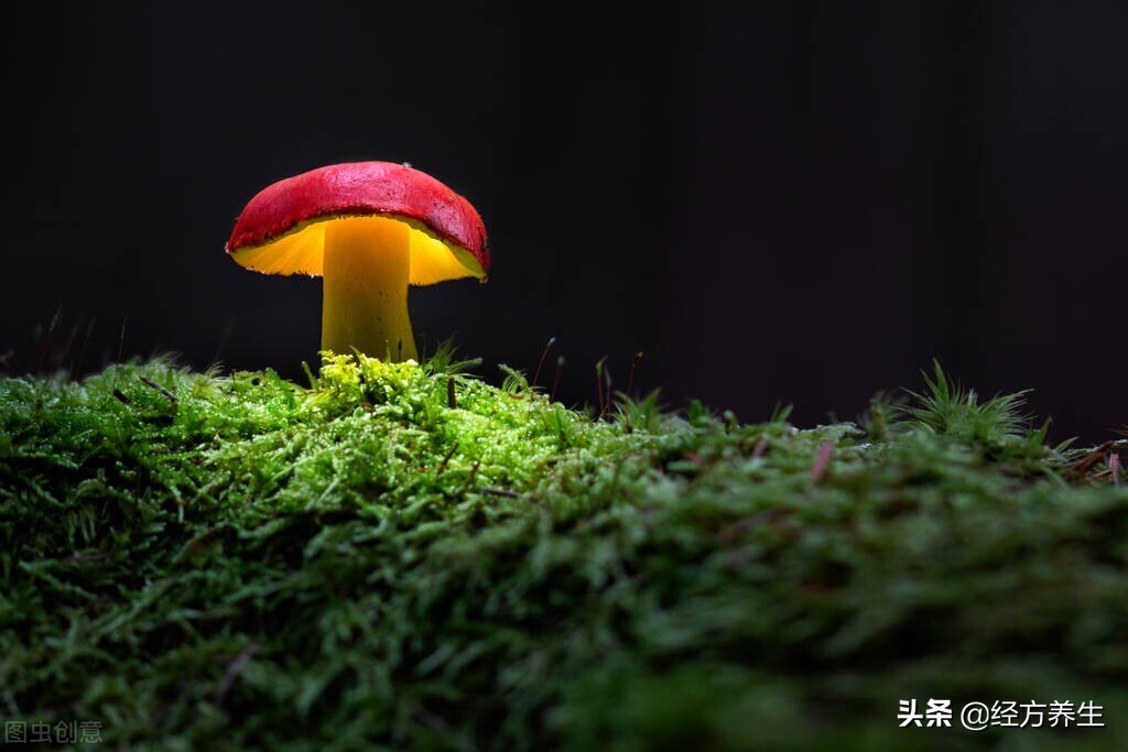 一到冬天脚出汗又臭是怎么回事,脚丫子一出汗就臭是什么原因