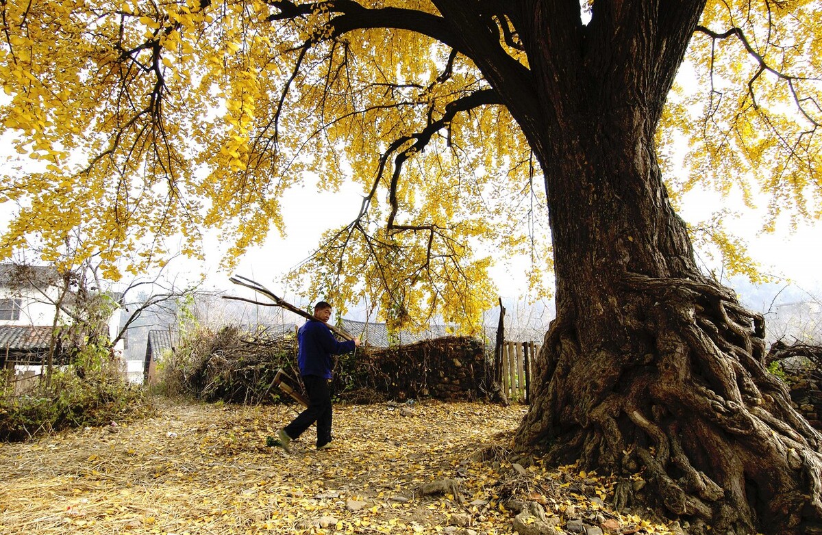 在随州做点什么比较好,在随州能干点啥
