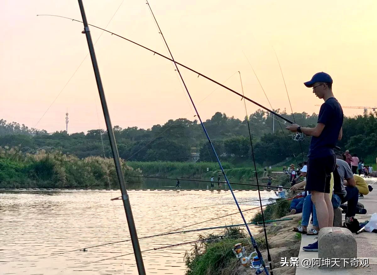 致全市垂钓爱好者,野钓小众的钓鱼地点