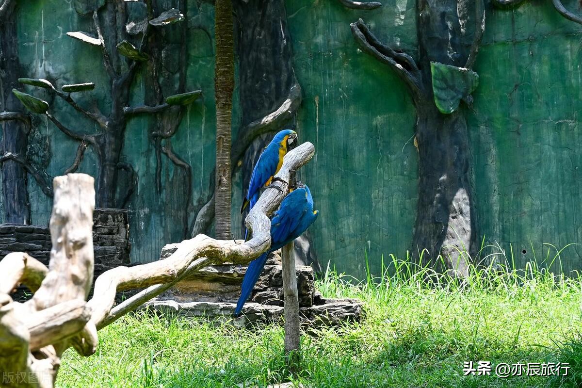 杭州附近有哪些旅游景点值得去,杭州周边游玩攻略必去十大景点