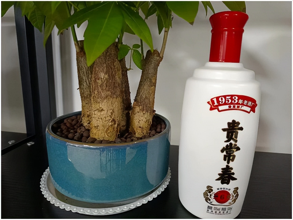 买白酒哪几款口粮酒值得收藏,男性618囤货清单列表