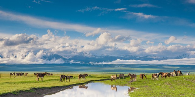 炎炎夏日消暑打卡地,夏日打卡佳地