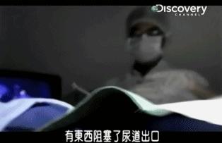 小到钻丁丁，大到吞活人，这片贝爷看了都怕