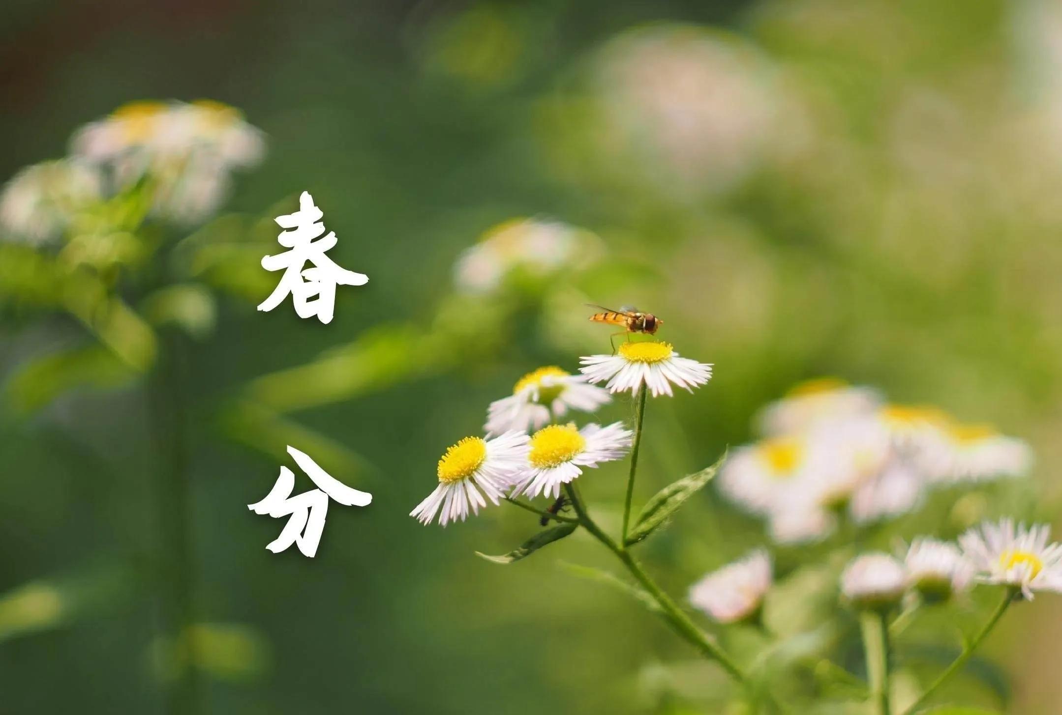 二十四节气春分古诗,二十四节气春分图片