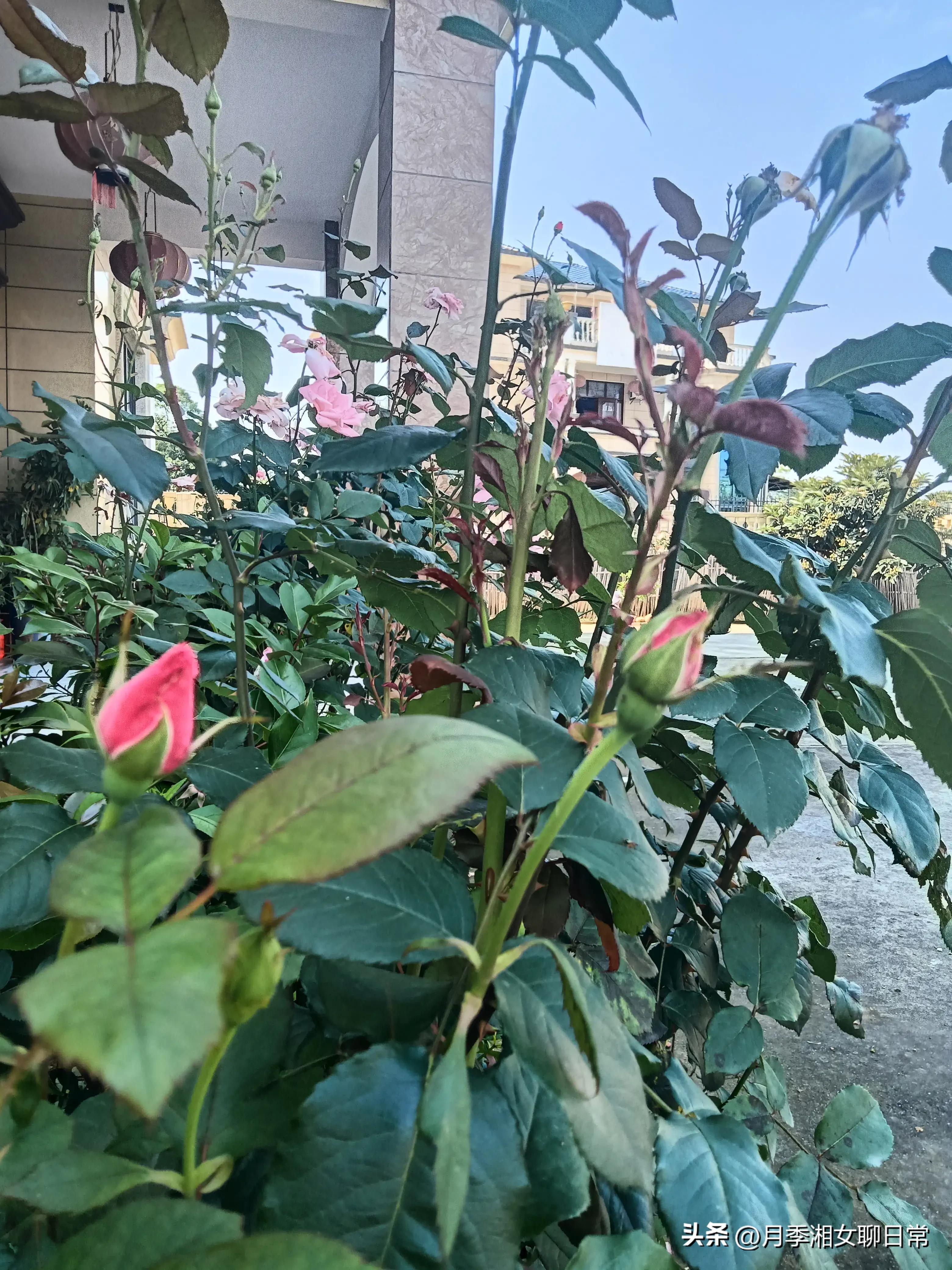 老公经常偷偷给他家里转钱怎么办,老公偷偷用我手机给他转钱