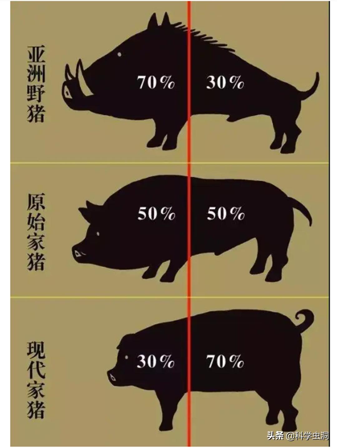 为什么毒蛇杀不死无毒蛇,毒蛇打死只留无毒蛇影响生态吗