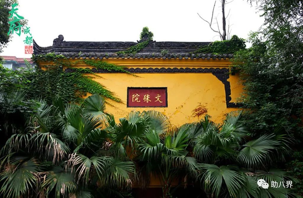 成都高新区景点打卡,成都网红桥打卡景点