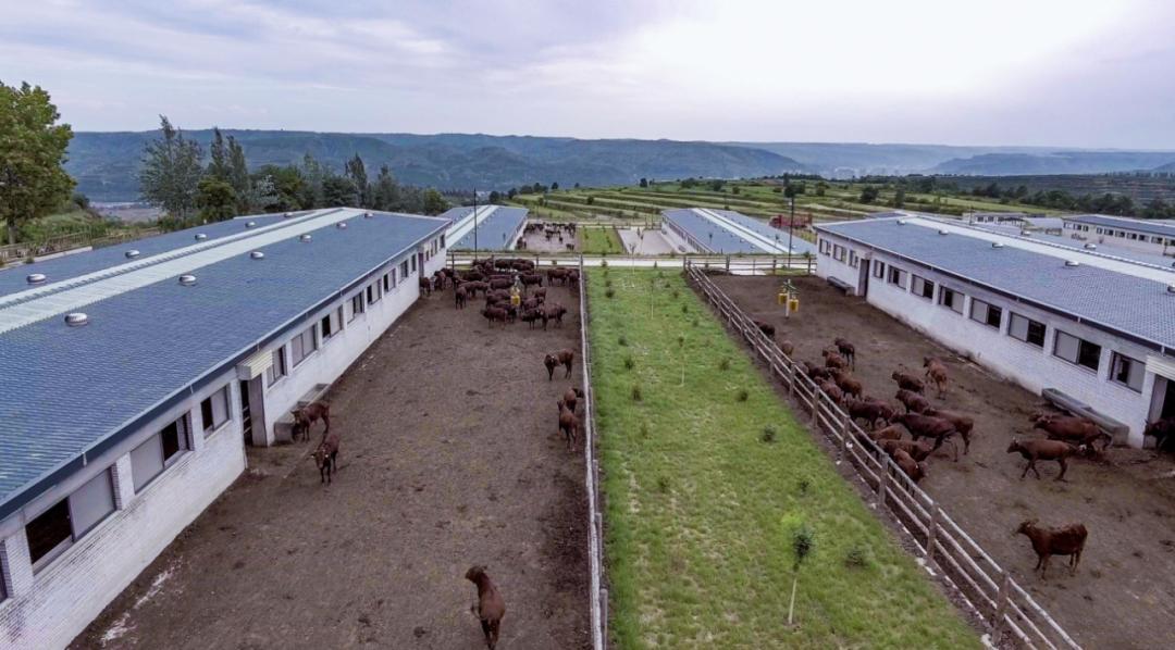 走进泾川吴焕先烈士纪念馆,平凉吴焕先