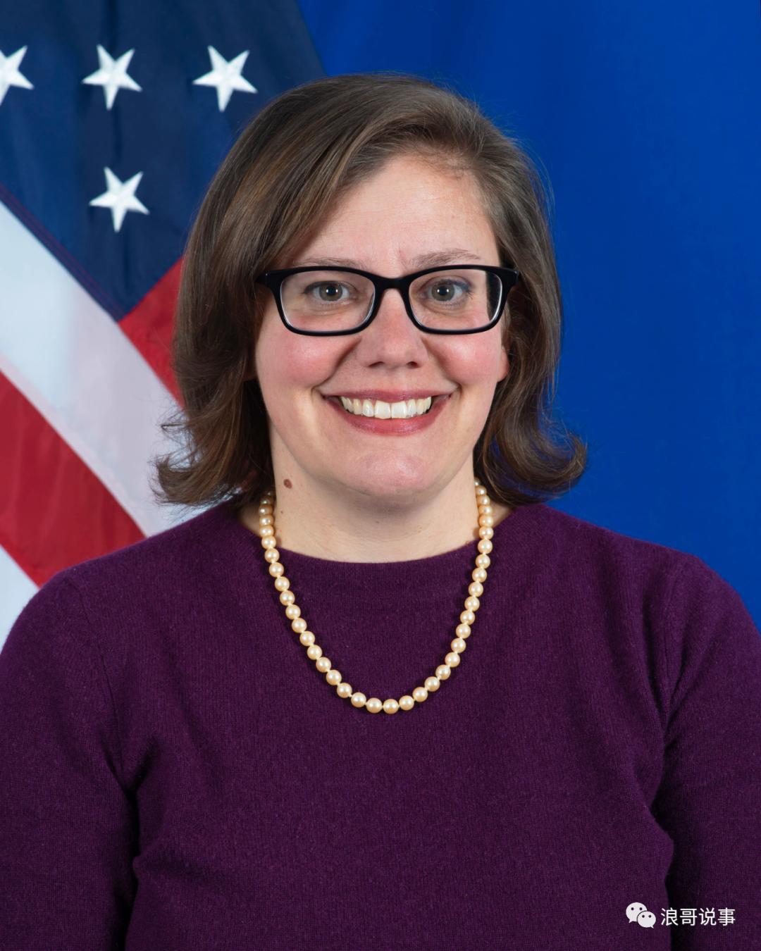 国务院情报研究所,国务院情报研究司