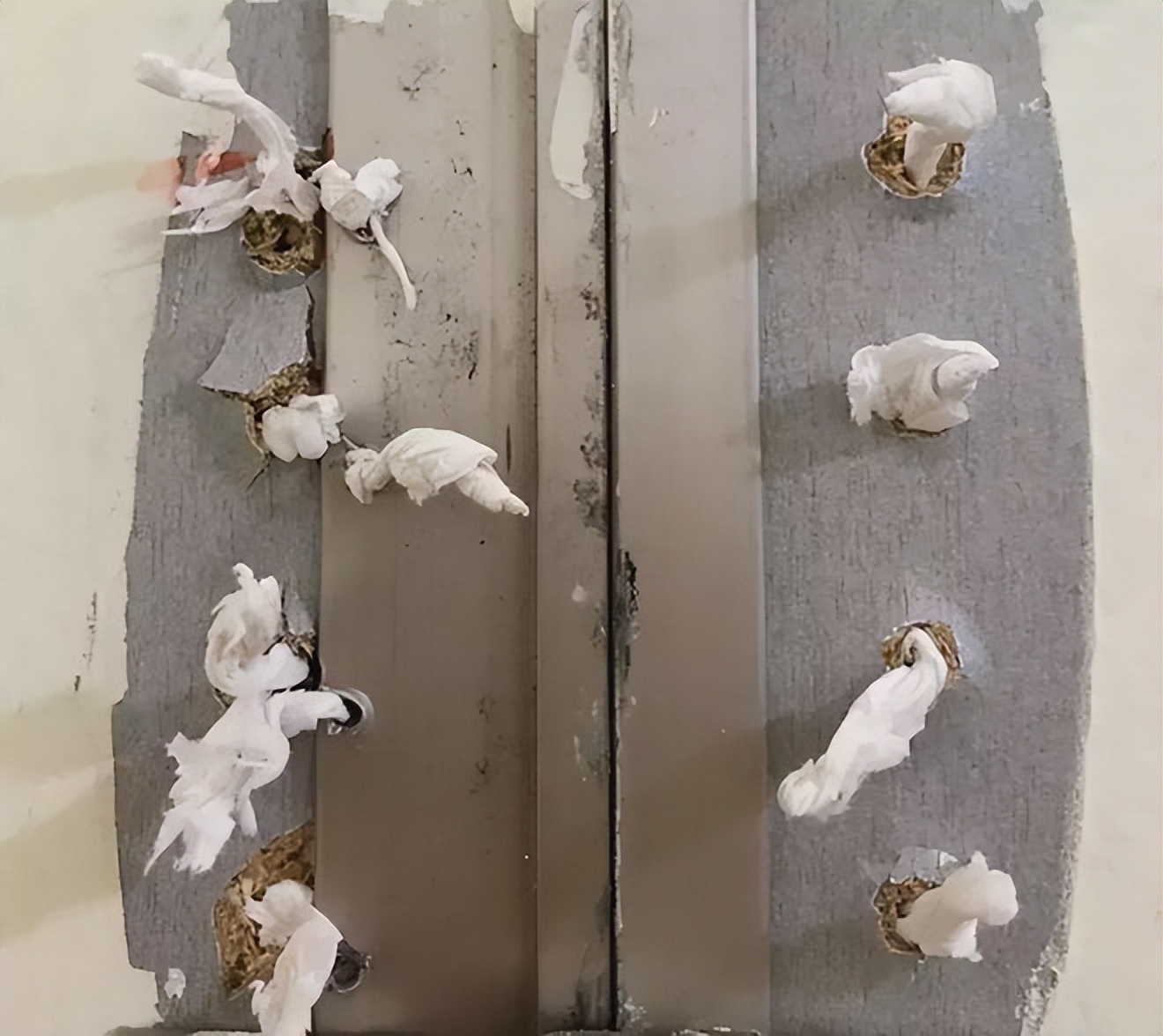 韩国的偷拍到底有多猖狂,韩国偷拍犯法