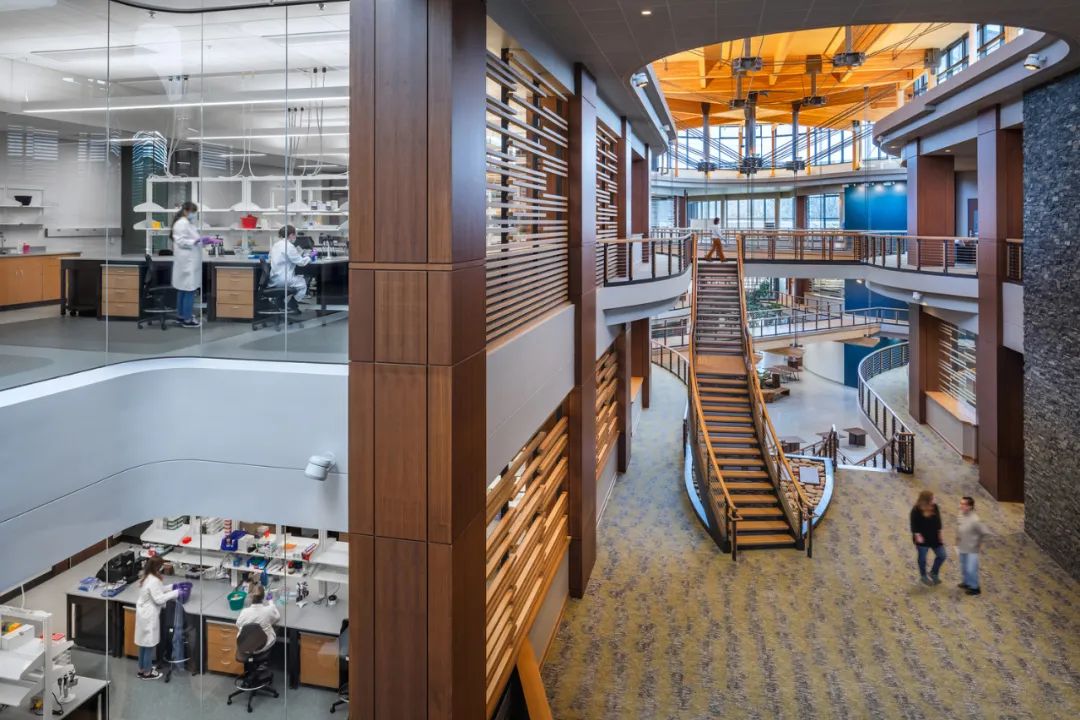 案例鉴赏|新建办公楼建筑设计节选