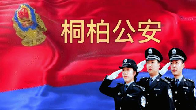 夏季行动治安打击整治,夏季专项整治行动成果