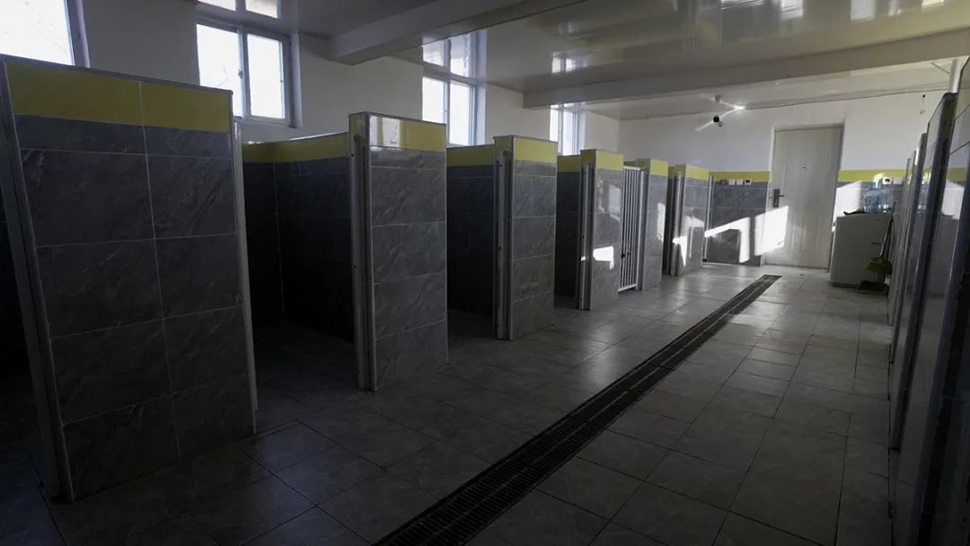 宠物训练学校能赚多少钱,宠物上学比孩子还贵