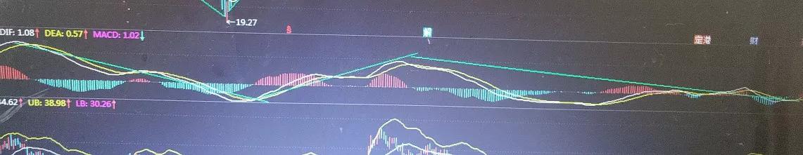 金蛋走势图,看走势图能推断出一等奖吗