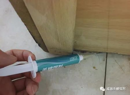 家里有蟑螂怎样能彻底消灭最有效,家里有蟑螂怎么消灭最有效方法