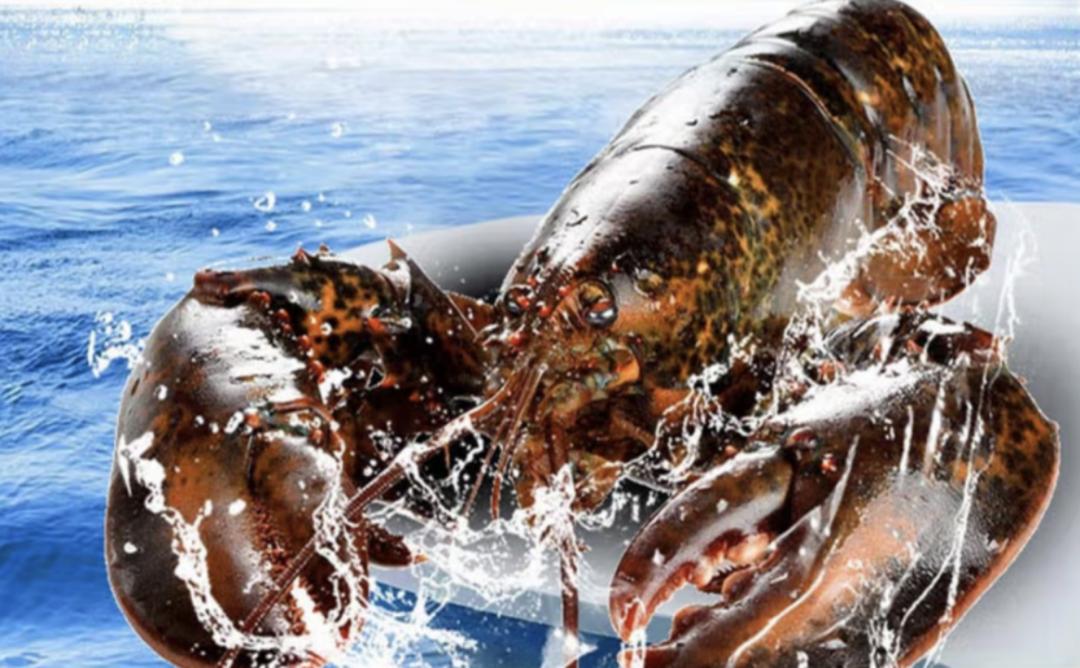 进口跨境电商怎样做好营销,跨境进口电商如何盈利