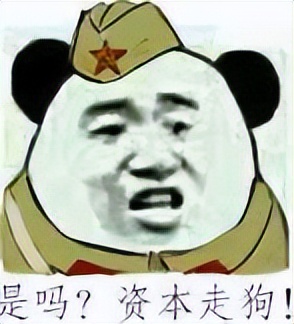 环保组织骗局,环保组织的骗局