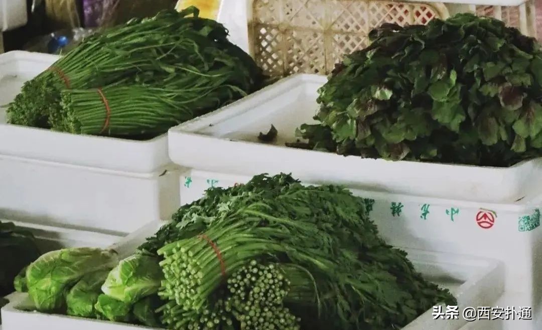 西安北郊最便宜菜市场在哪里,西安市全天人多的菜市场