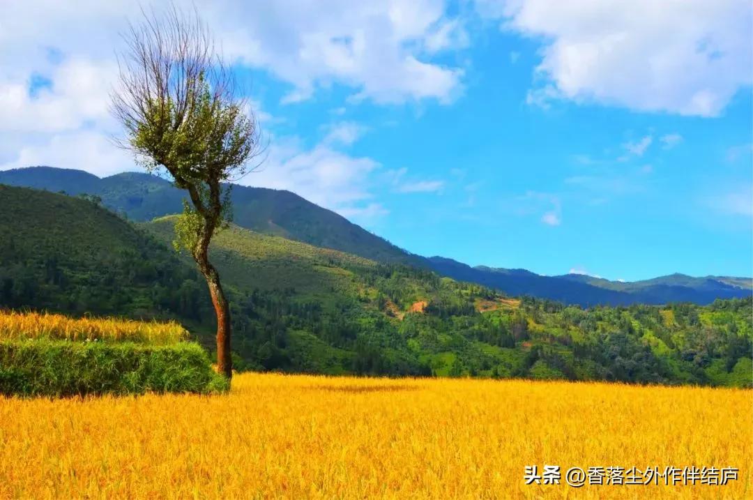 陈祥发：故乡无故人时，衣锦亦白搭