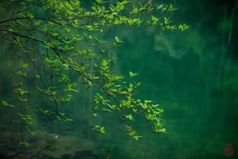 关于立春的诗词精选10首,立春的诗句20首