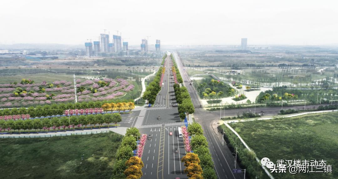 2022大爆发,2023疫情大爆发