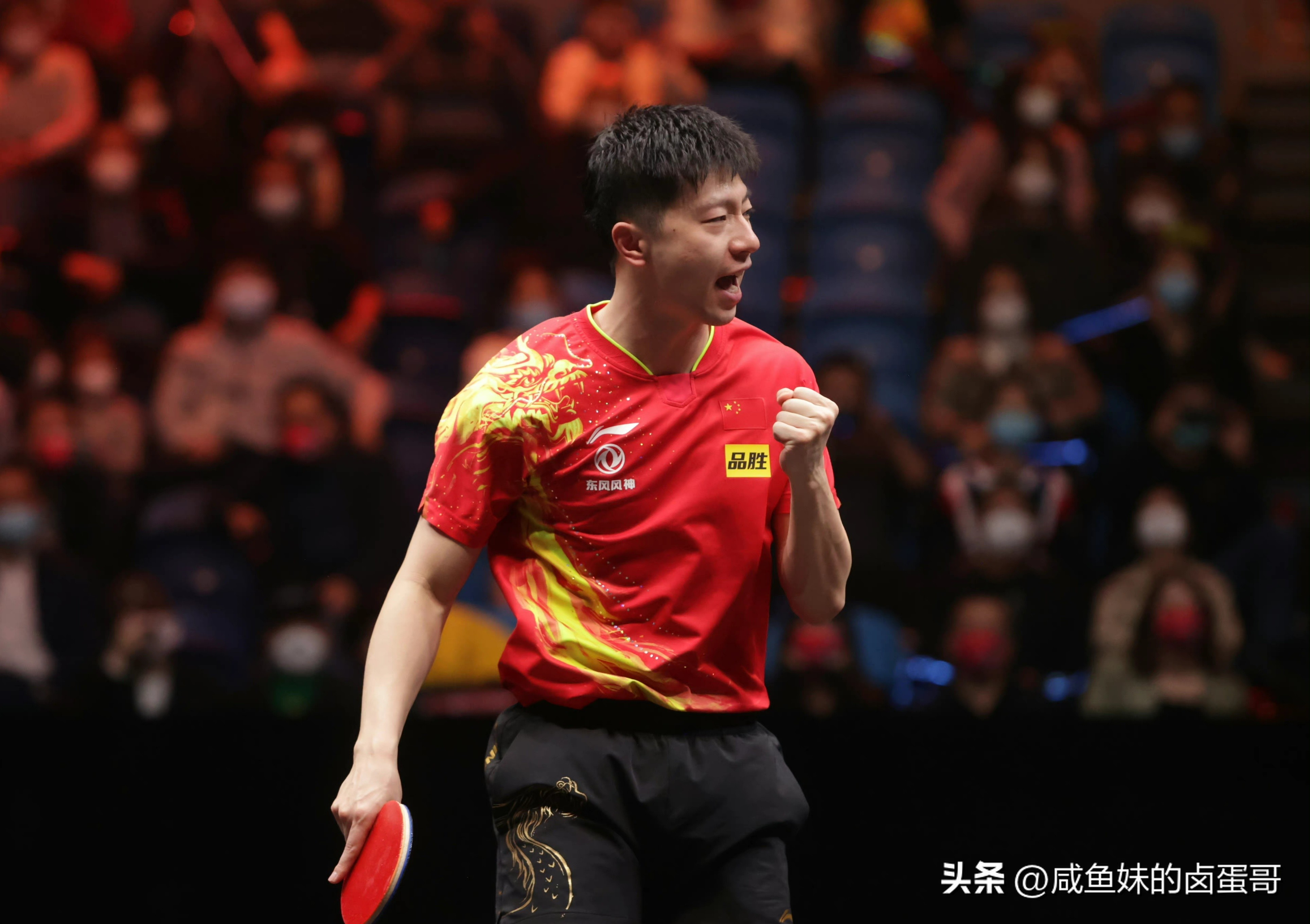 马龙率山东鲁能夺得乒超冠军,鲁能夺冠名单