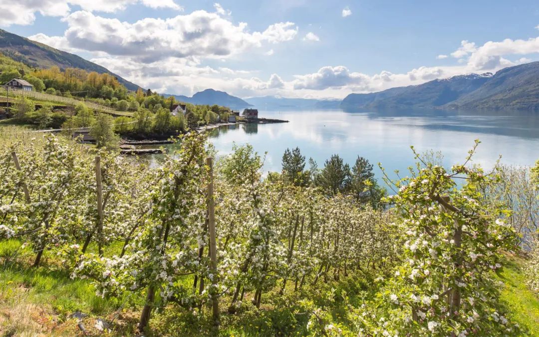 峡湾之旅,峡湾旅游攻略