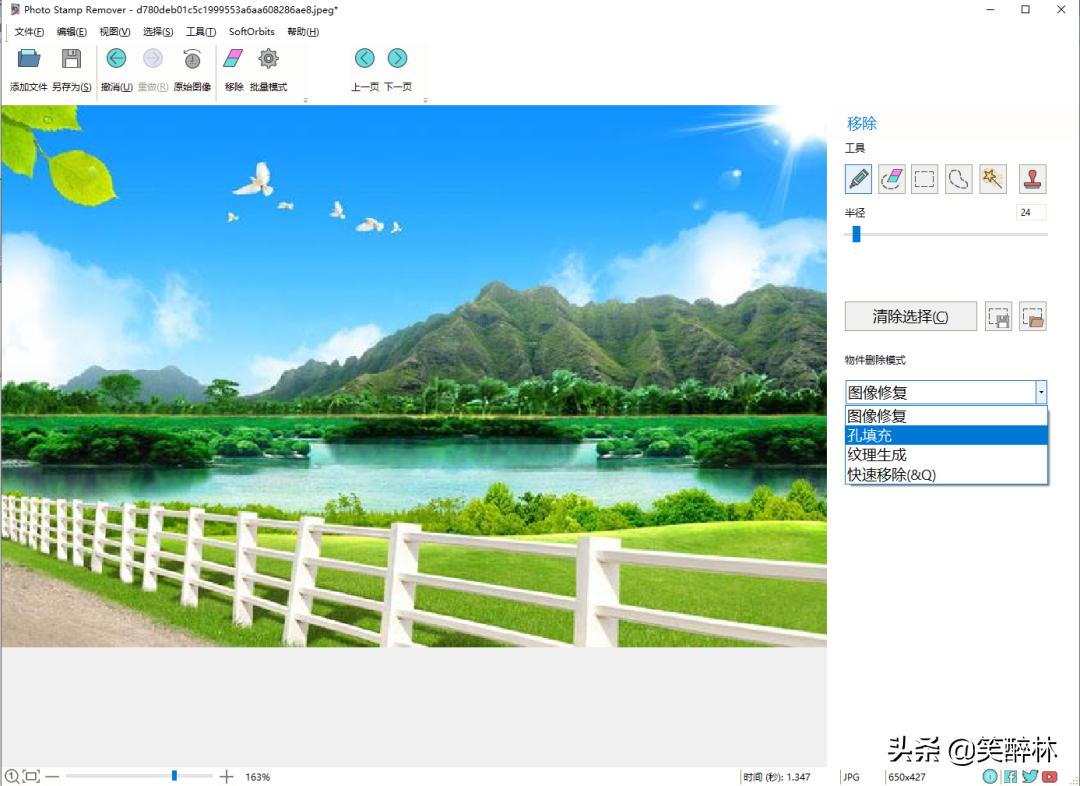 图片一键去水印工具免费网站,图片一键去水印正版免费