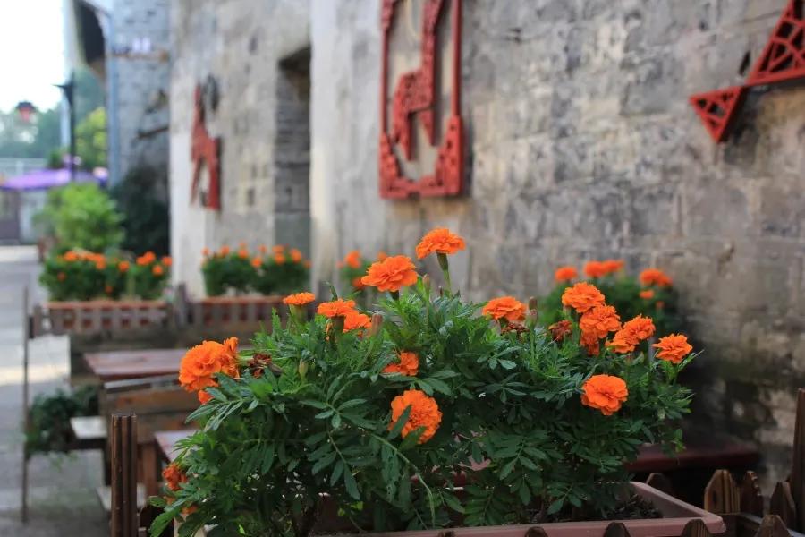 宁波南塘古镇老街,宁波八大历史街区之一南塘老街