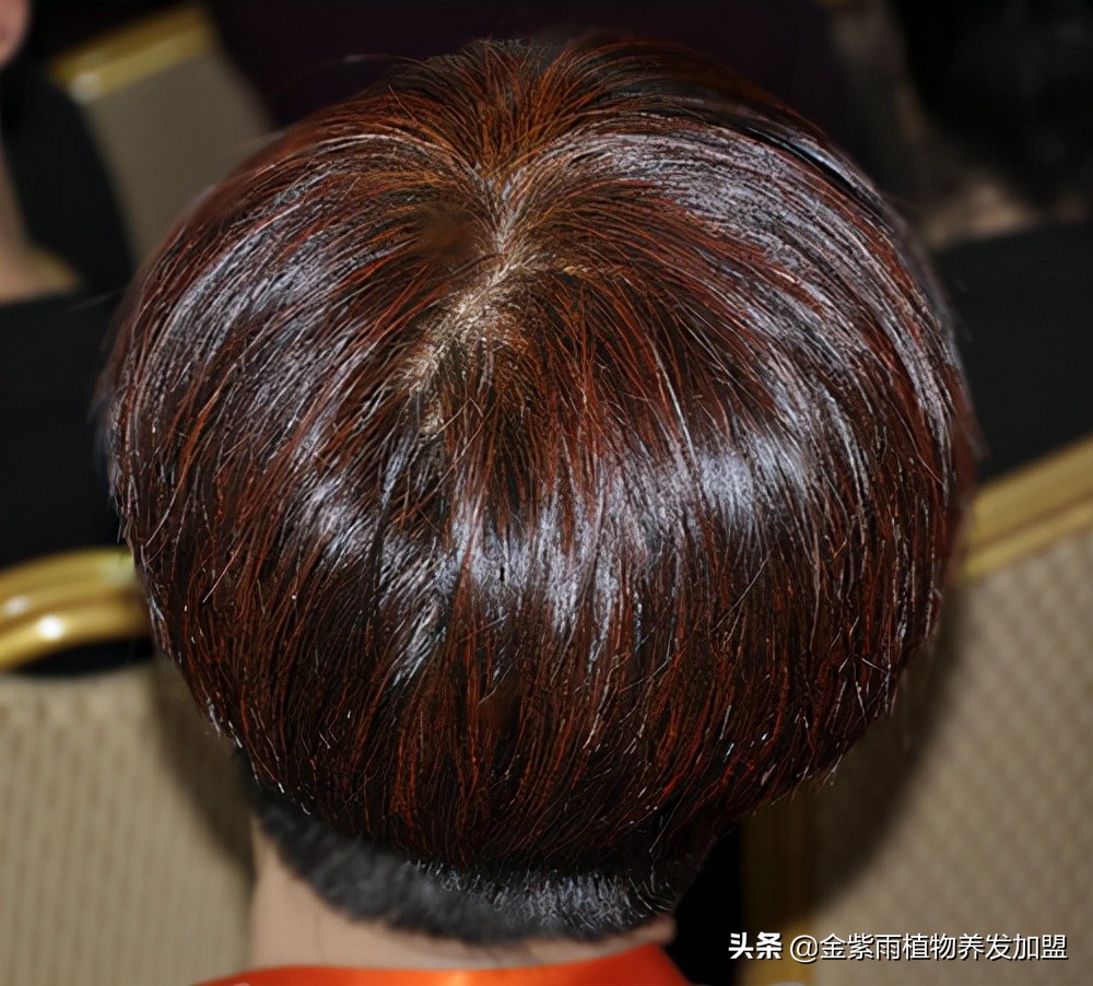 植物染发养发馆投入多少钱呢,植物染发养发馆哪家实力强