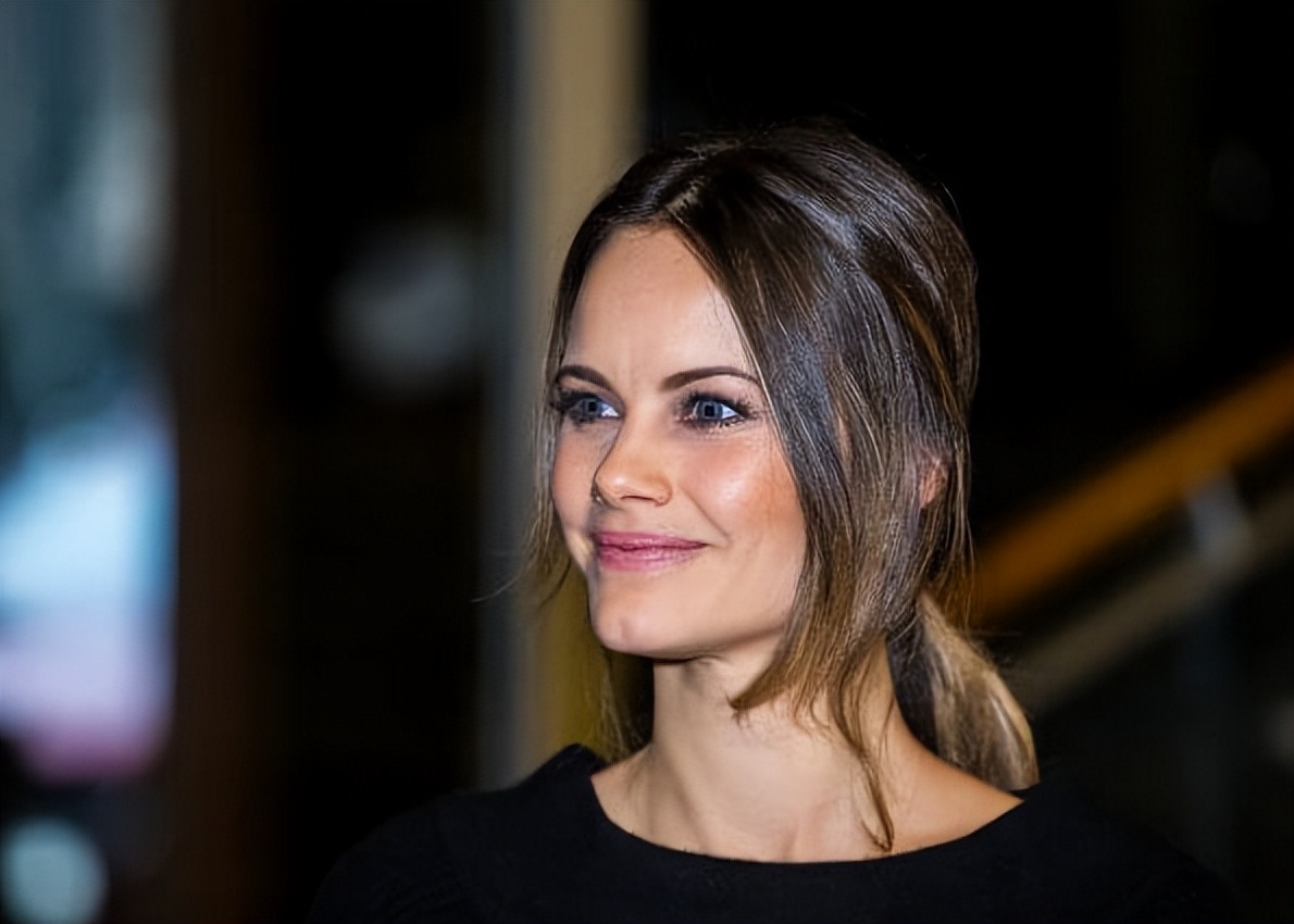 瑞典国王是谁的儿子,瑞典国王唯一的儿子