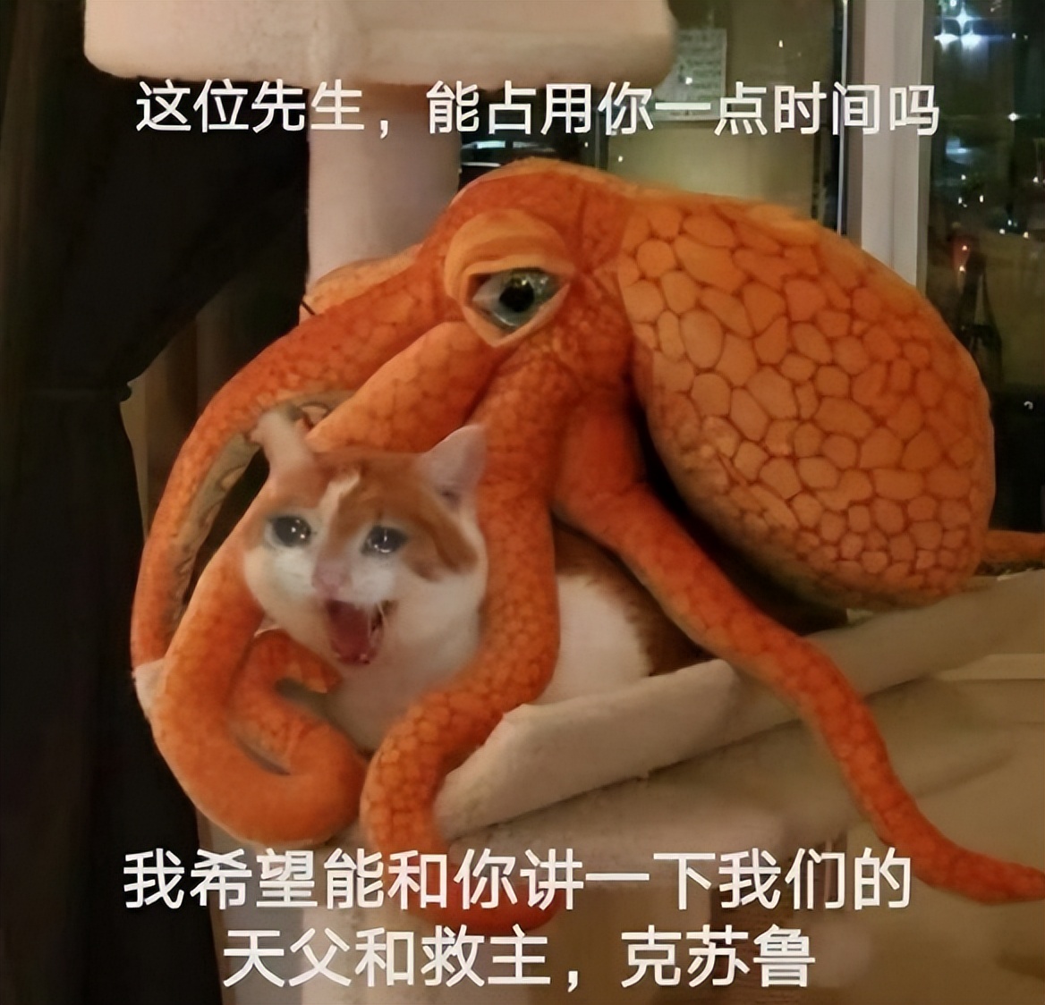 搞笑囧图：质数在生活中有什么作用？没有美女的行业是没有前途的