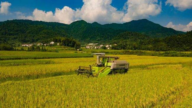 斯里兰卡国家破产民众怎么办,破产的国家斯里兰卡