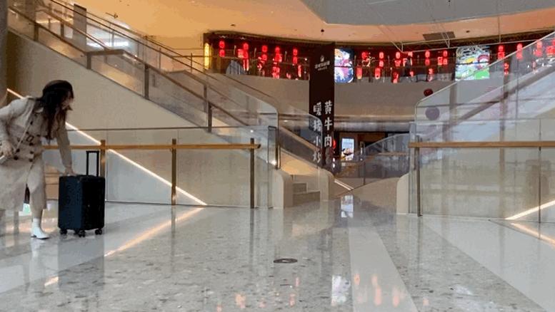 复古行李箱地平线8号,地平线8号城市脉搏行李箱