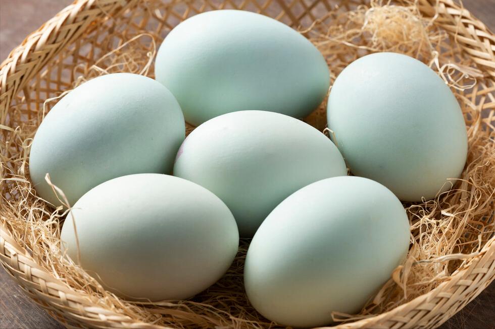 盐水腌咸鸭蛋的正确方法,不用泥巴快速腌咸鸭蛋的做法