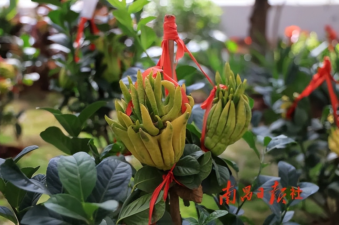 宽创国际｜淘宝上线3D商城，双11进入元宇宙时代