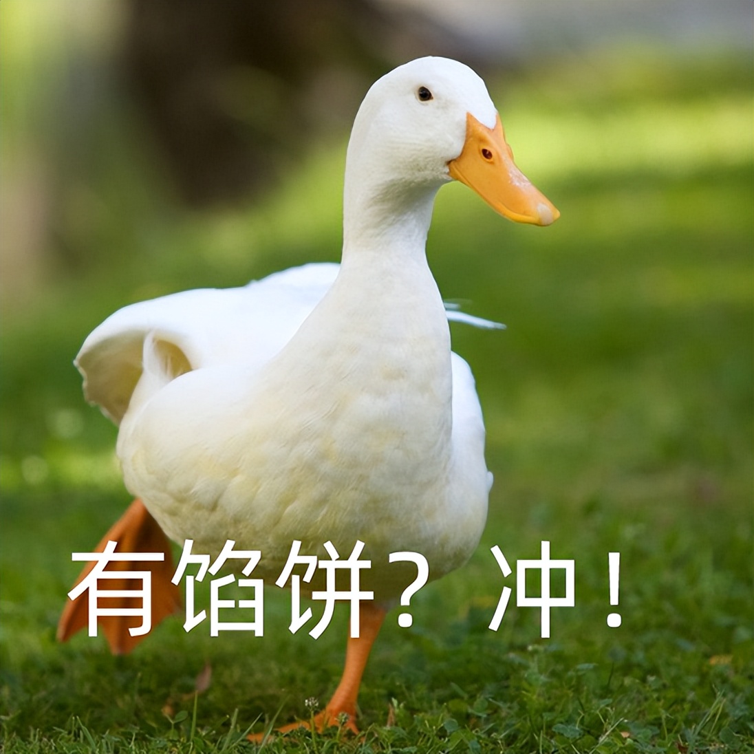 应届生错过了春招还有补救办法吗,应届生如何准备秋招